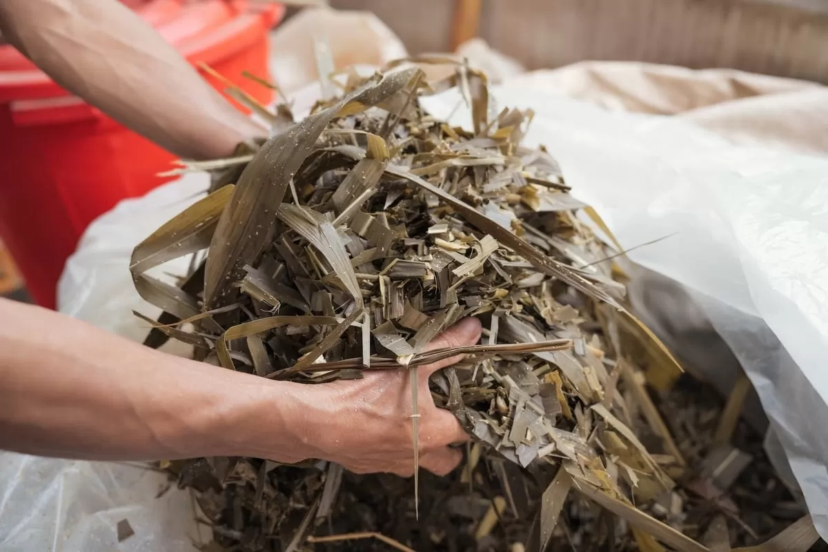 Tiểu ban kiến nghị đẩy mạnh nghi&ecirc;n cứu sản xuất c&aacute;c loại thức ăn bổ sung trong nước m&agrave; Việt Nam c&oacute; lợi thế. Ảnh: Linh Linh.