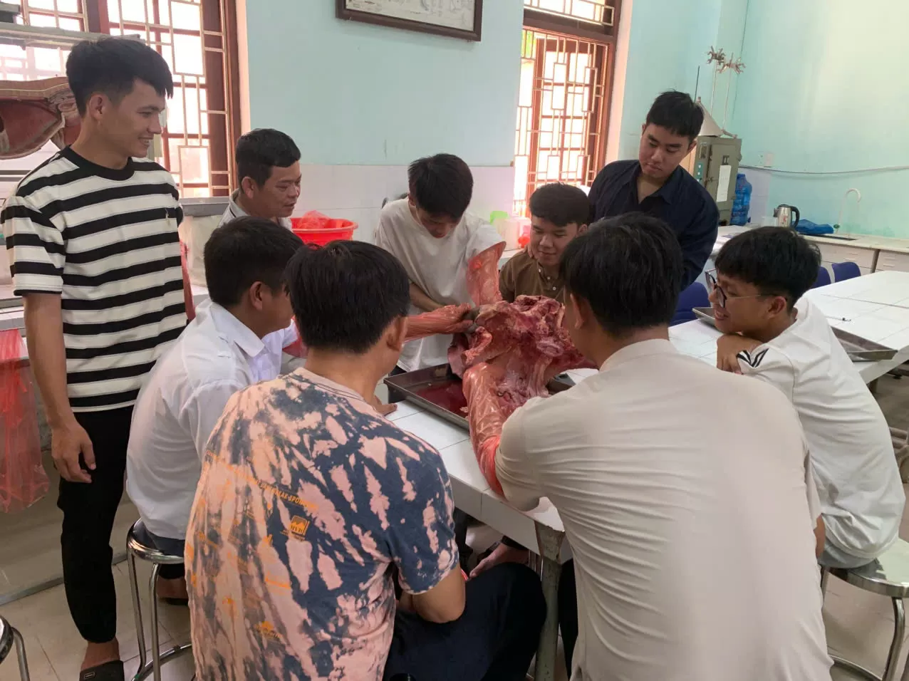 TRUNG TÂM GIỐNG GIA SÚC LỚN TRUNG ƯƠNG PHỐI HỢP ĐÀO TẠO LỚP KỸ THUẬT PHỐI GIỐNG NHÂN TẠO TRÂU BÒ CHO TRƯỜNG ĐẠI HỌC NÔNG LÂM HUẾ