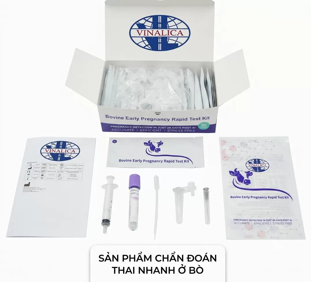 Dụng cụ xét nghiệm chẩn đoán thai sớm ở bò
