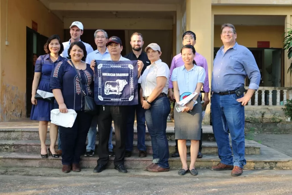 Trung tâm Giống gia súc lớn Trung Ương hợp tác với Hiệp hội các nhà sản xuất giống bò Brahman Hoa Kỳ (ABBA) về công tác chọn lọc và cải tạo giống bò thịt