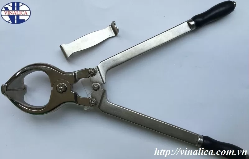 Kỹ thuật thiến bò đực bằng kìm thiến