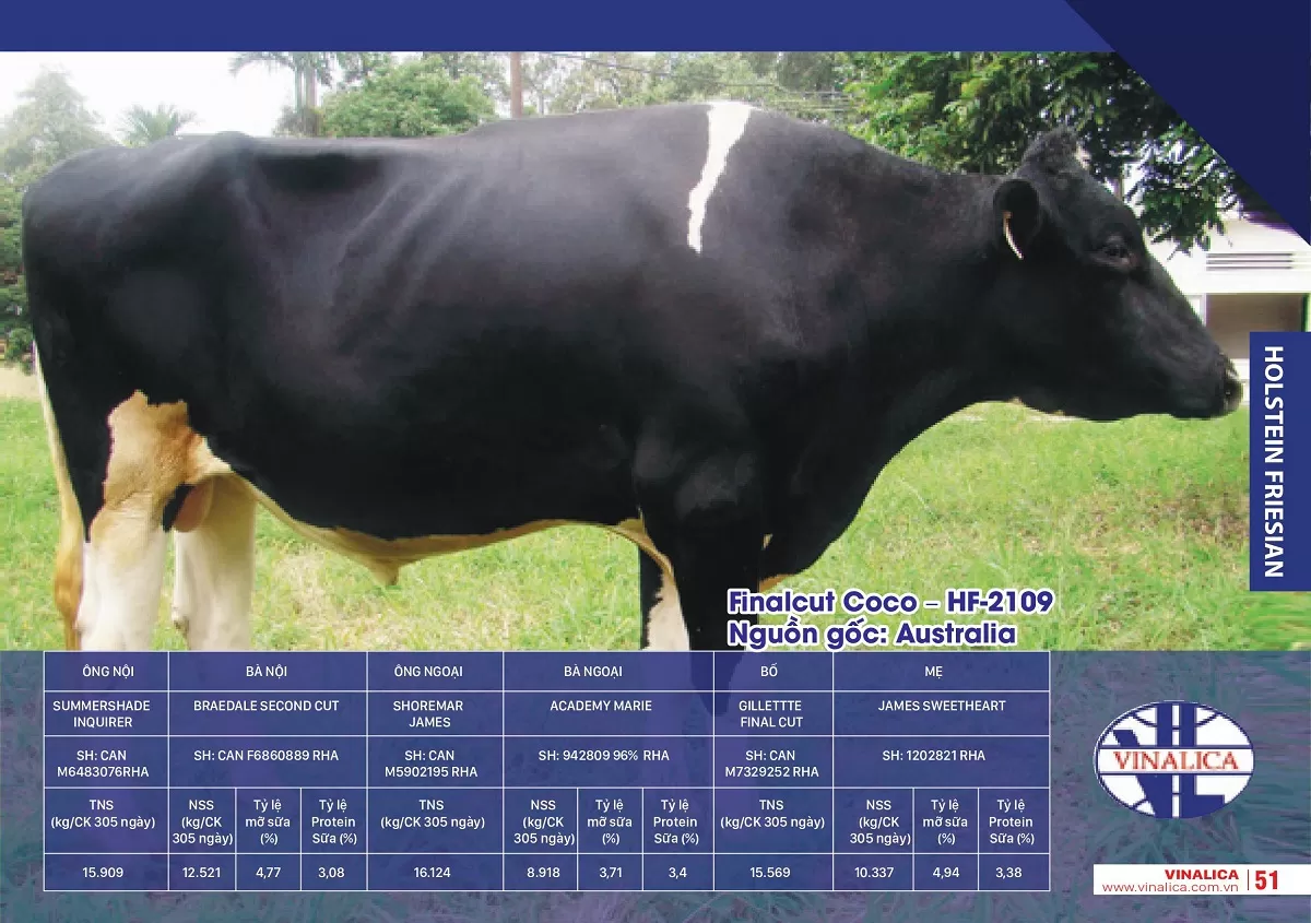 Finalcut Coco - HF-2109