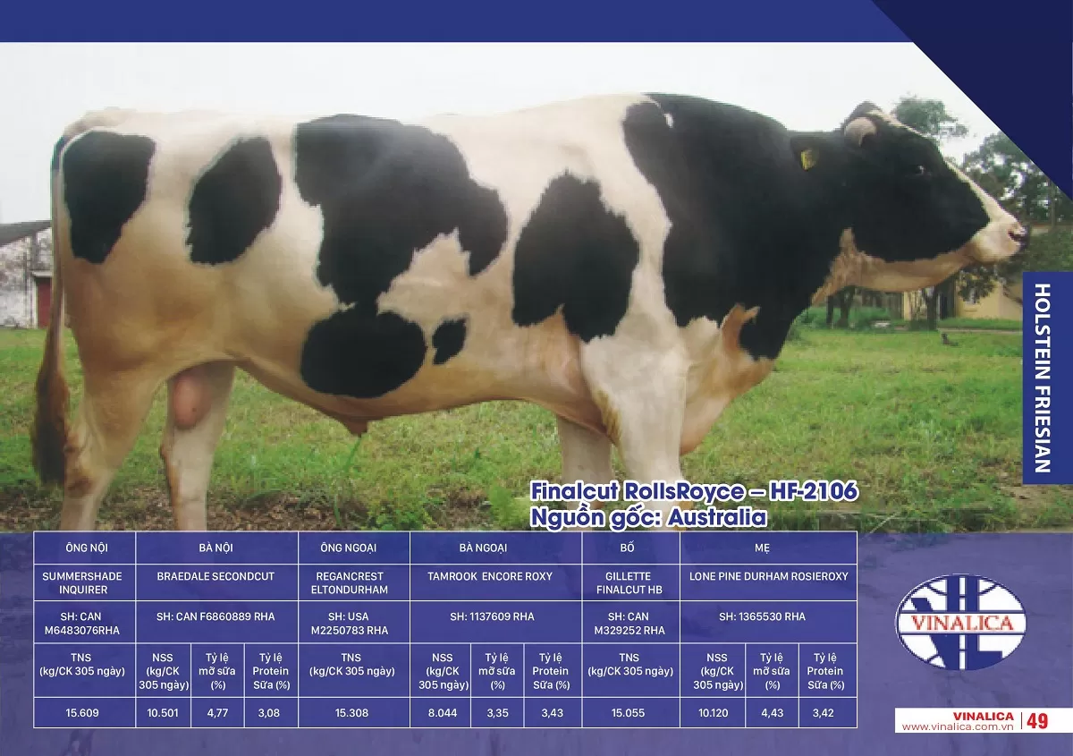 Finalcut RollsRoyce - HF-2106