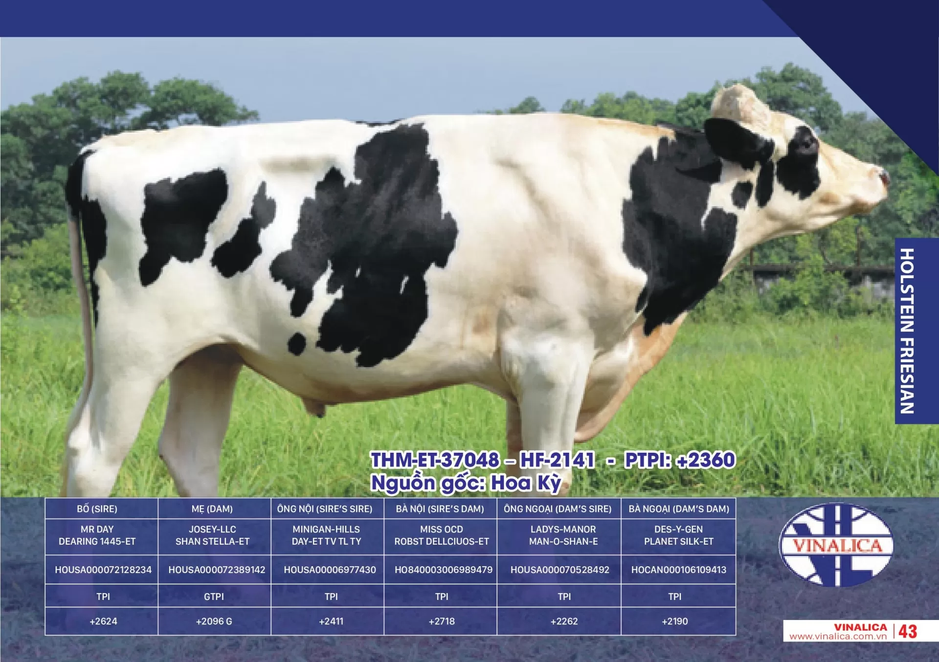 THM-ET-37048 - HF-2141 - PTPI: +2360