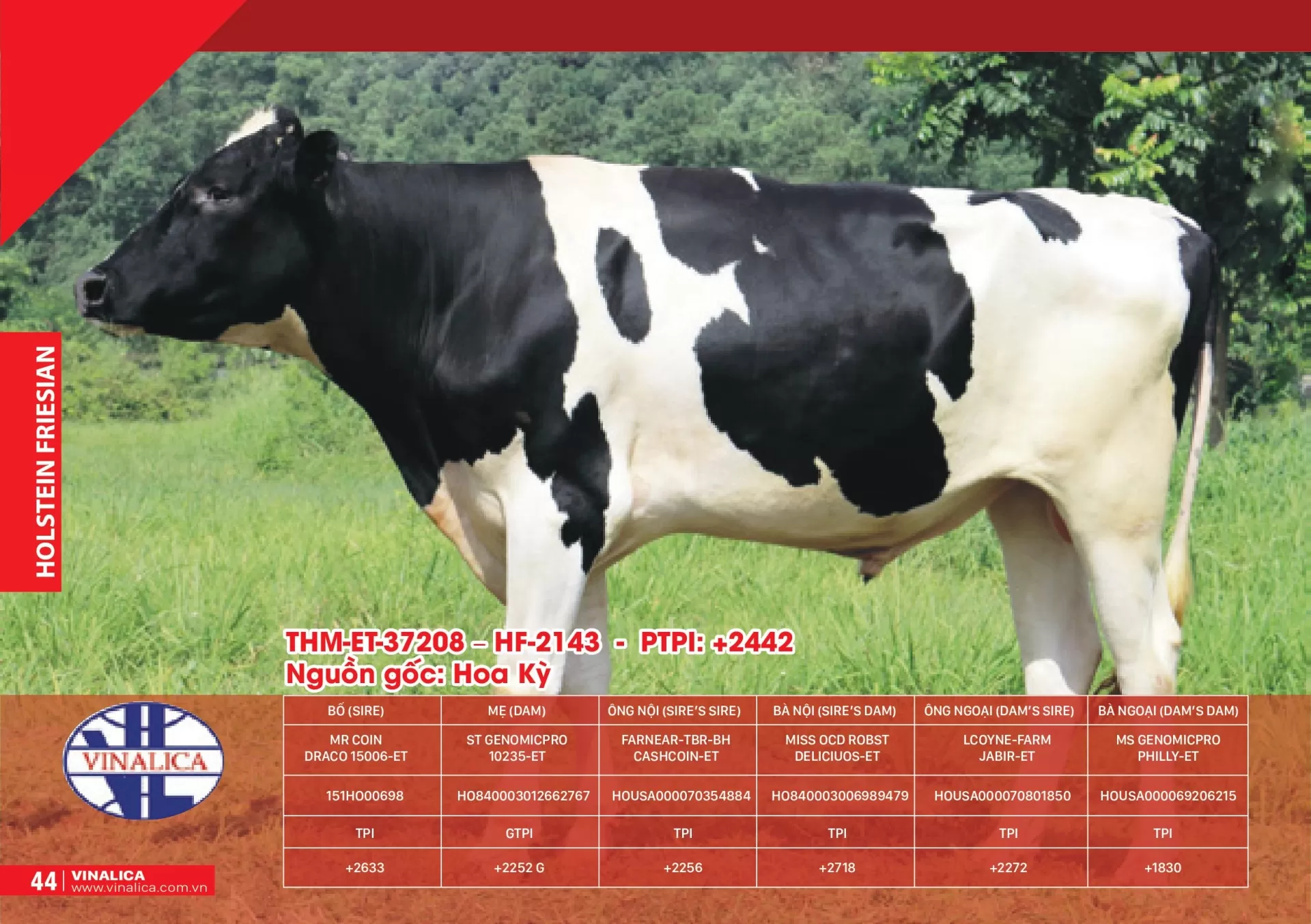 THM-ET-37208 - HF-2143 - PTPI: +2442