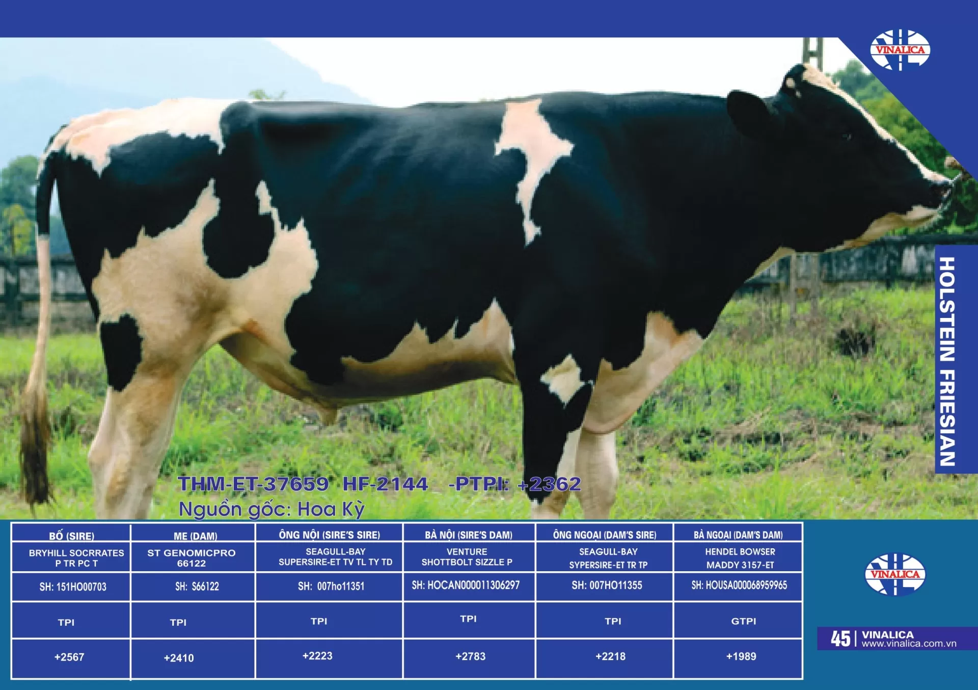 THM-ET-37659 - HF-2144 - PTPI: +2362