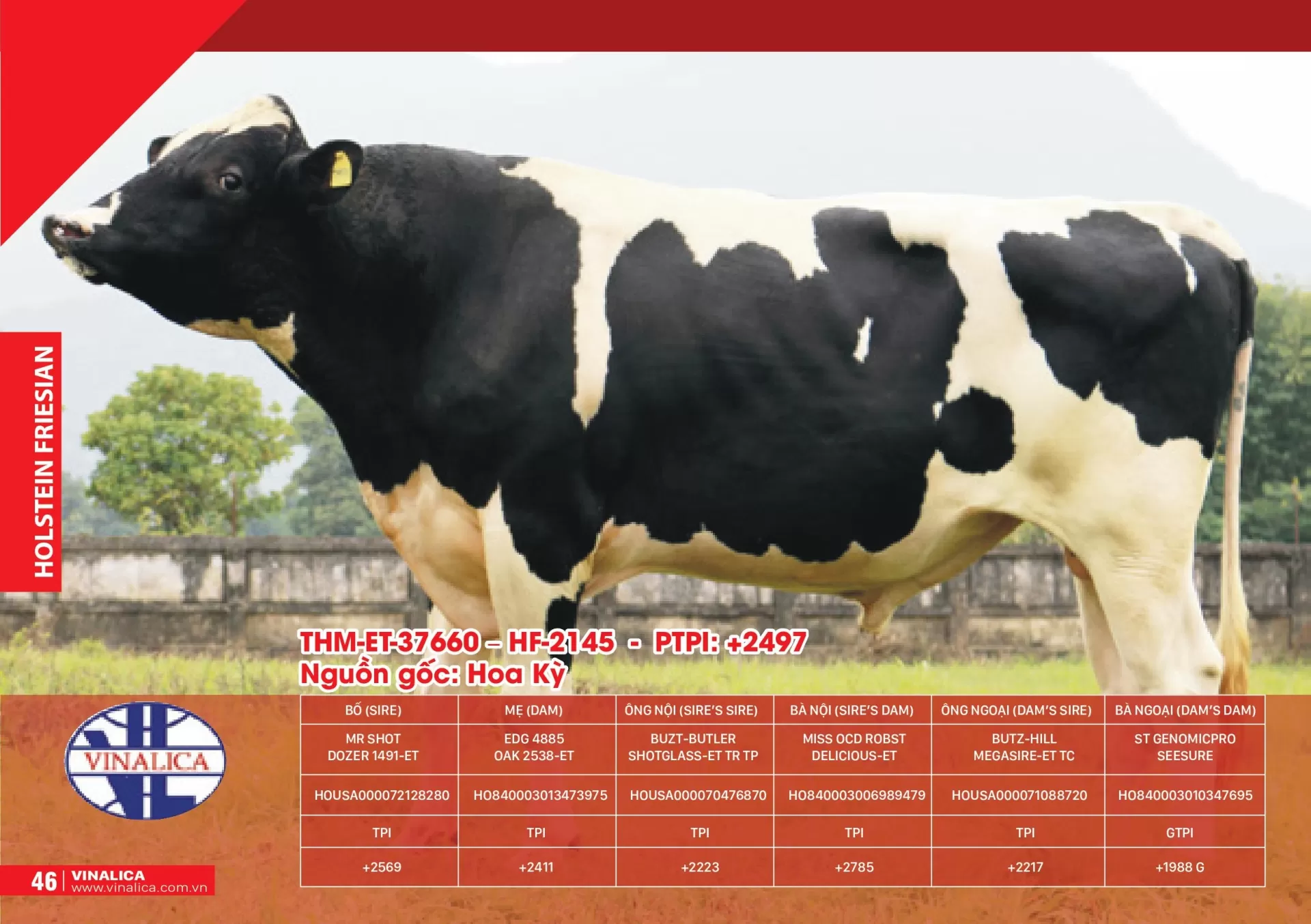 THM-ET-37660 - HF-2145 - PTPI: +2497