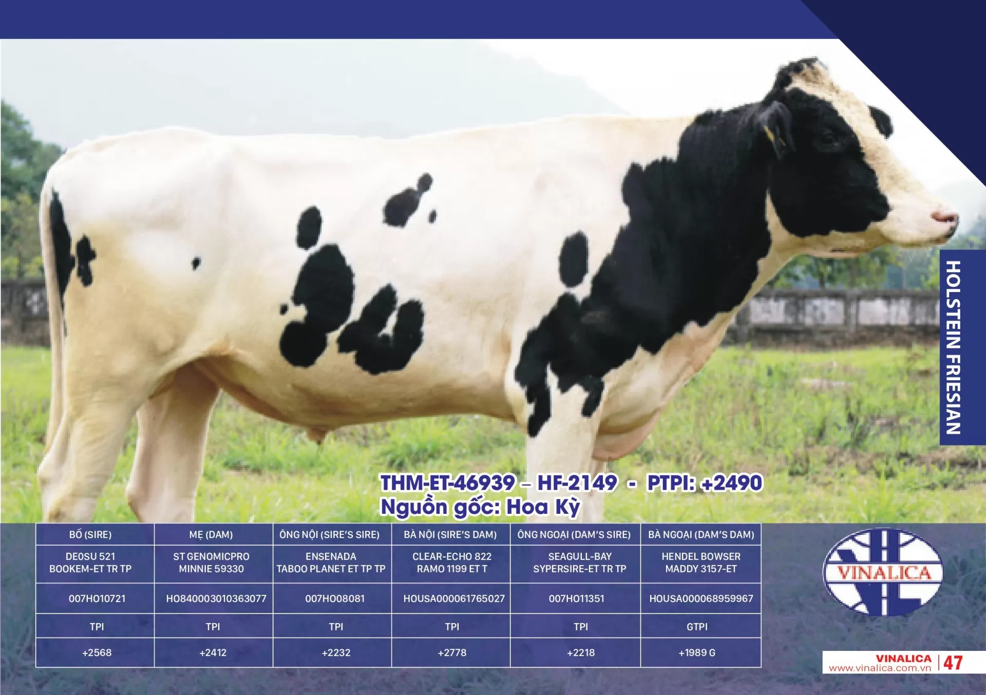 THM-ET-46939 - HF-2149 - PTPI: +2490