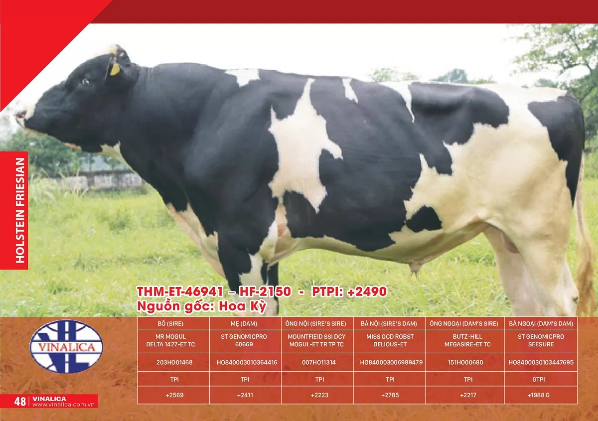 THM-ET-46941 - HF-2150 - PTPI: +2490