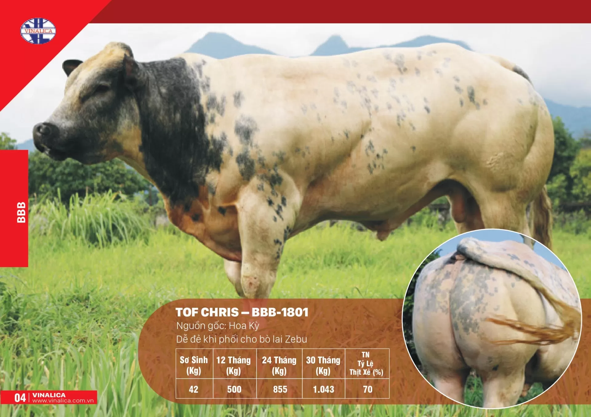 TOF CHRIS - BBB-1801