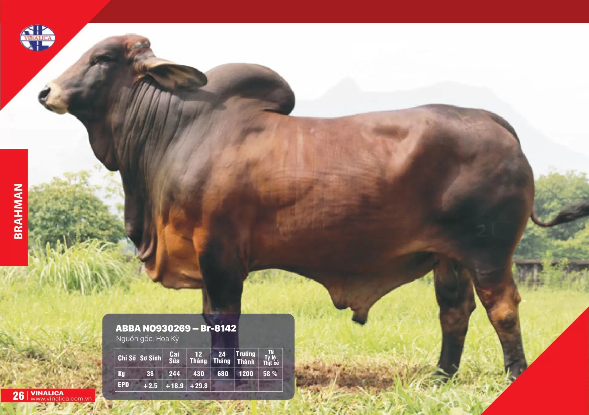 ABBA NO930269 - Br-8142