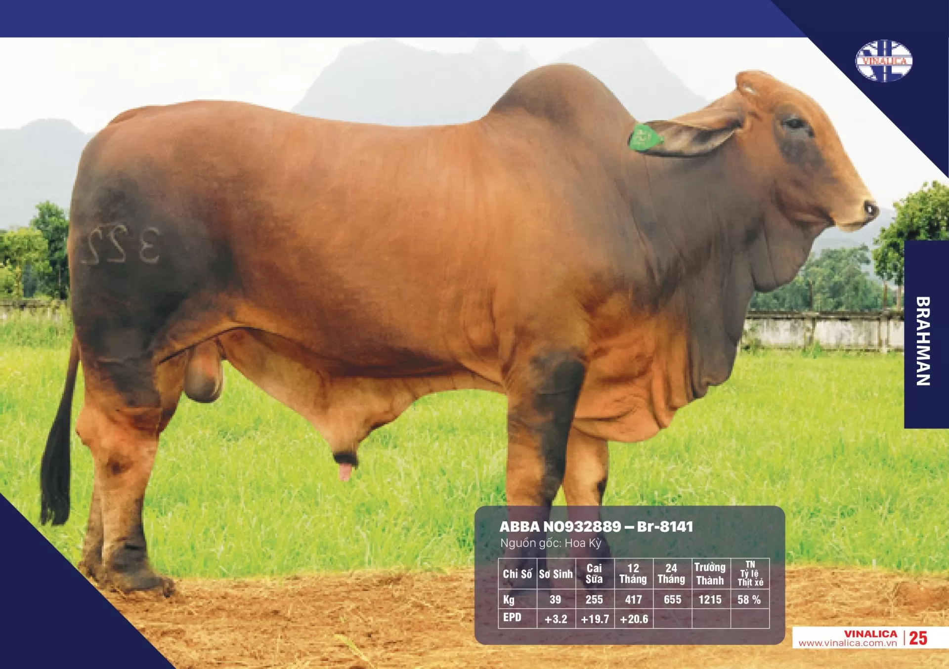 ABBA NO932889 - Br-8141