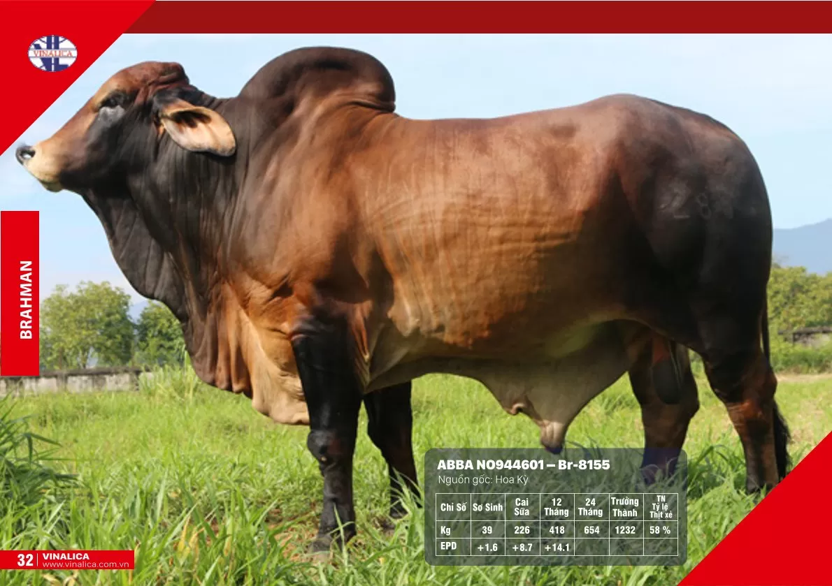 ABBA NO944601 - Br-8155