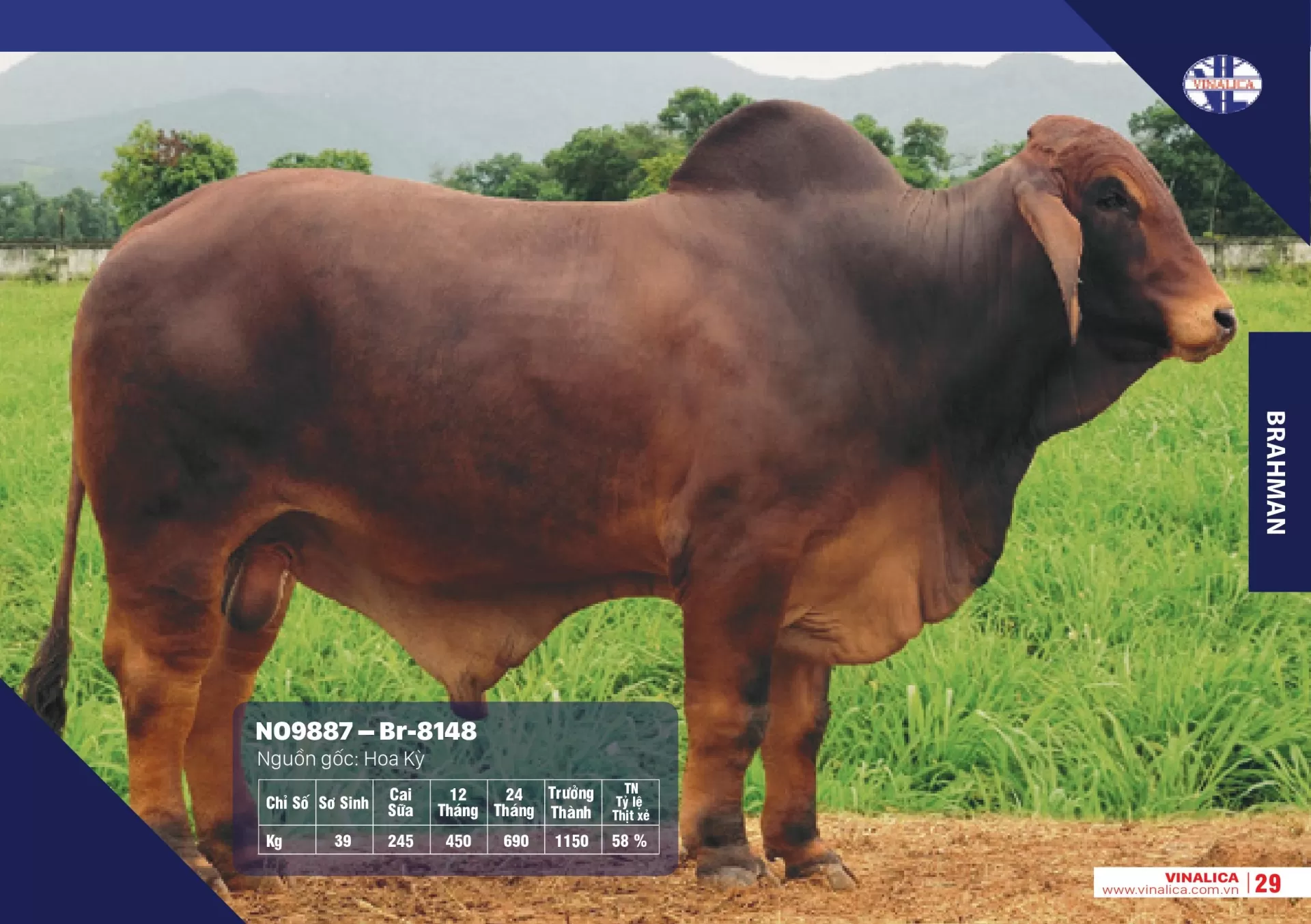 ABBA NO9887 - Br-8148