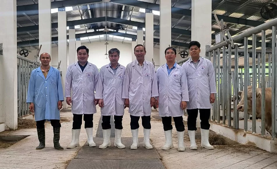 Từng thiếu trứng, sữa, bò còi cọc, chuyên gia Cuba sang Việt Nam hỗ trợ, xây dựng trại gà đẻ, tặng hơn 1.000 con bò sữa