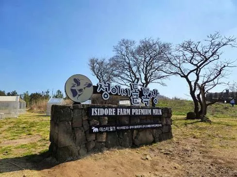 Trải nghiệm mô hình bò sữa hữu cơ Isidore Farm: Bài học nông nghiệp bền vững từ dự án KOICA