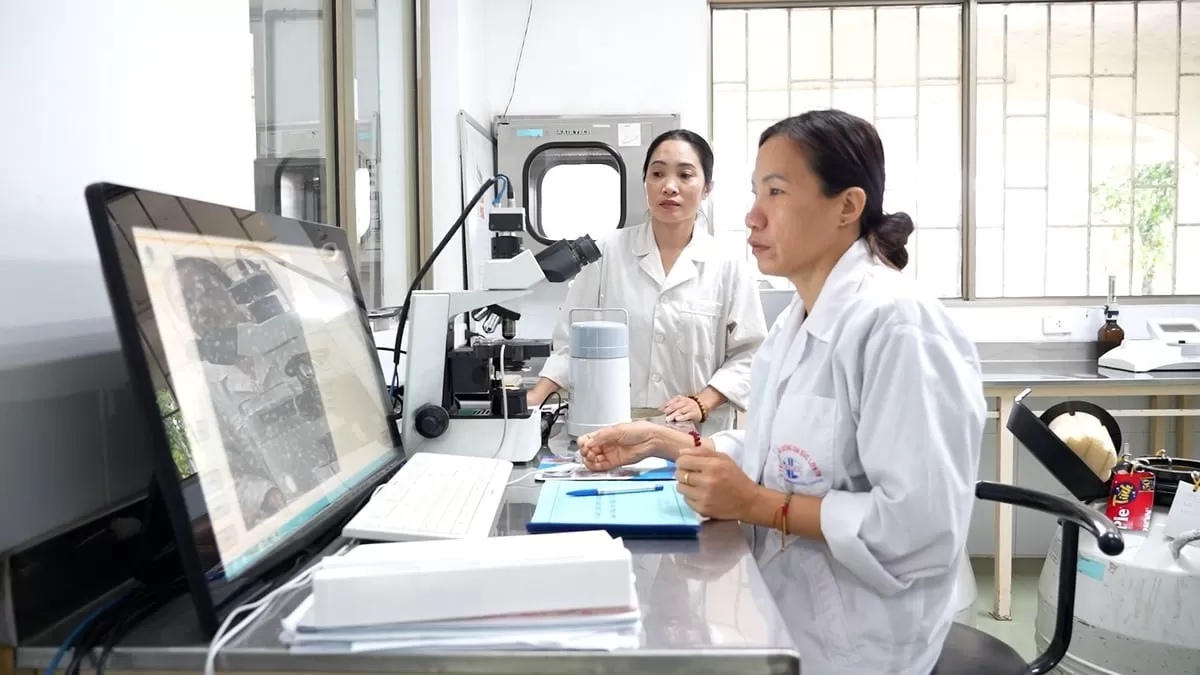Nửa thế kỷ nâng tầm giống bò Việt