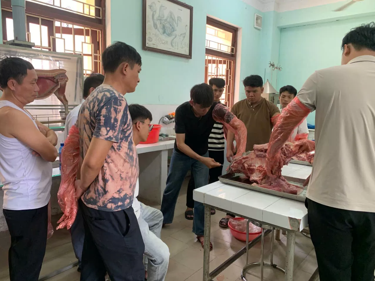 TRUNG TÂM GIỐNG GIA SÚC LỚN TRUNG ƯƠNG PHỐI HỢP ĐÀO TẠO LỚP KỸ THUẬT PHỐI GIỐNG NHÂN TẠO TRÂU BÒ CHO TRƯỜNG ĐẠI HỌC NÔNG LÂM HUẾ