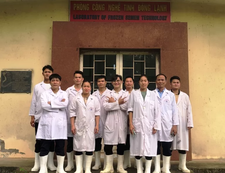 Chương trình tập huấn nâng cao kỹ thuật phối giống nhân tạo Trâu Bò của Trung tâm Giống gia súc lớn Trung ương