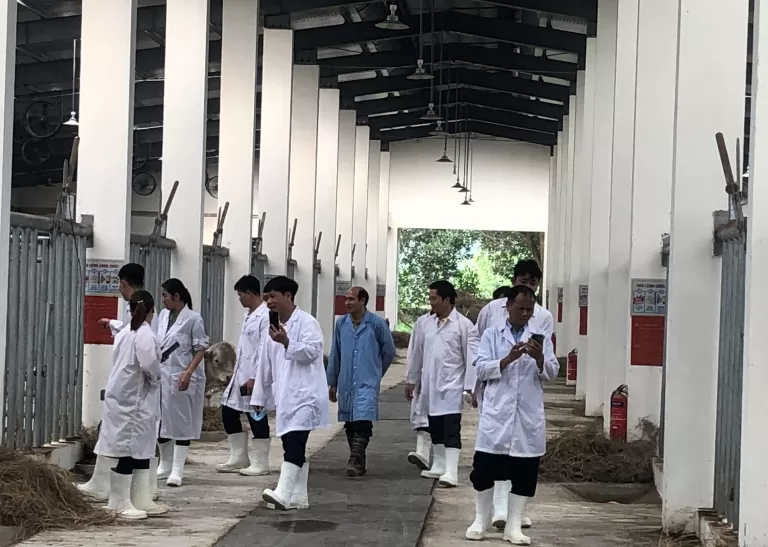 THÔNG BÁO: Lịch khai giảng lớp đào tạo KỸ THUẬT PHỐI GIỐNG NHÂN TẠO TRÂU, BÒ khóa 211 năm 2024