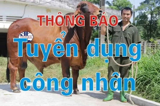 Thông báo - Tuyển dụng lao động