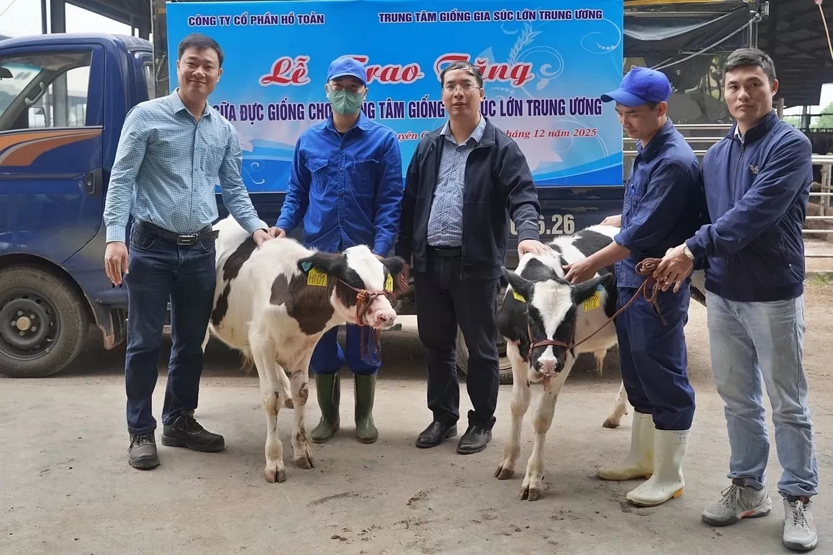 Trung tâm Giống gia súc lớn Trung ương nhận 2 bò sữa giống thuần chủng